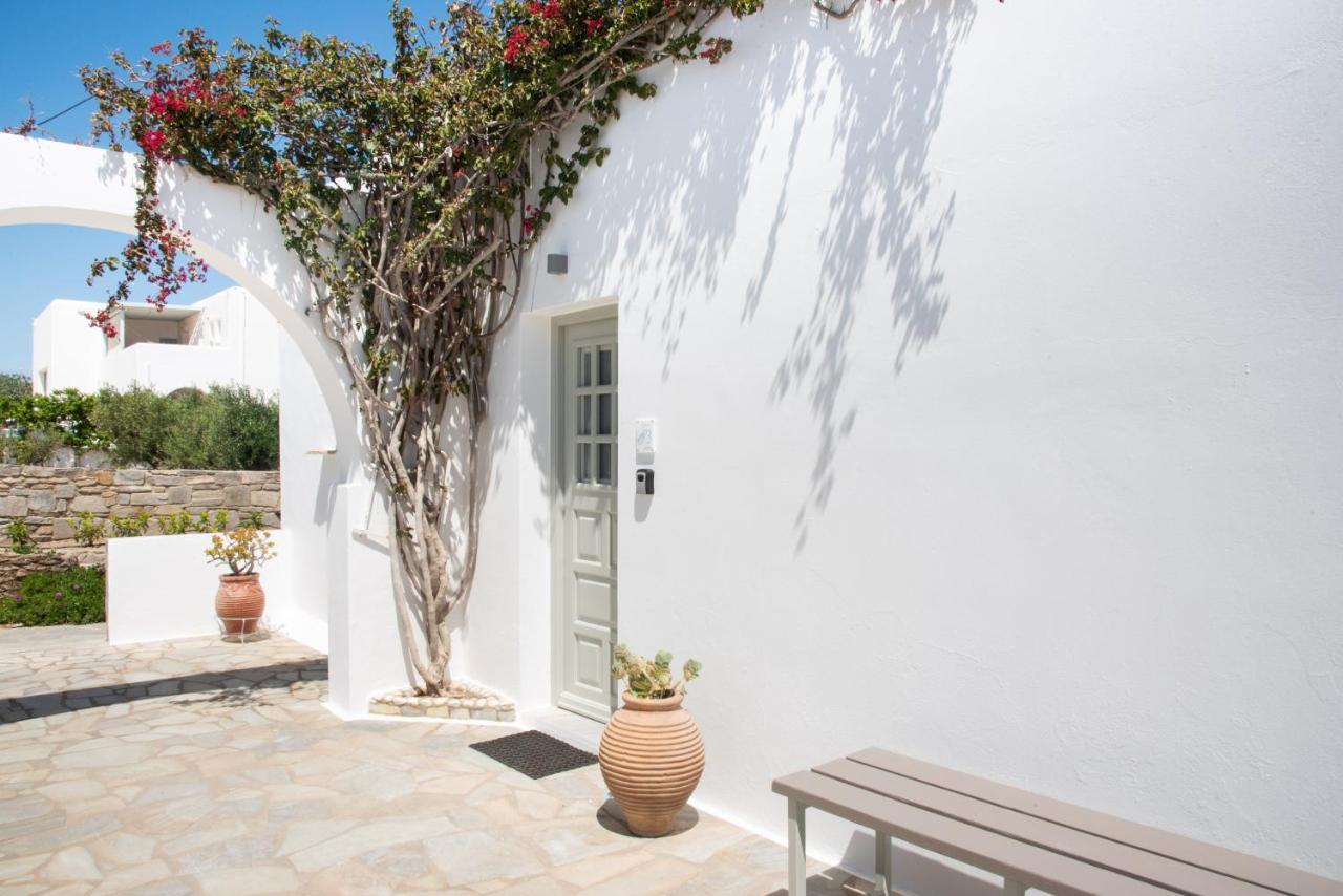 Apartment Navi B3 Brand New In