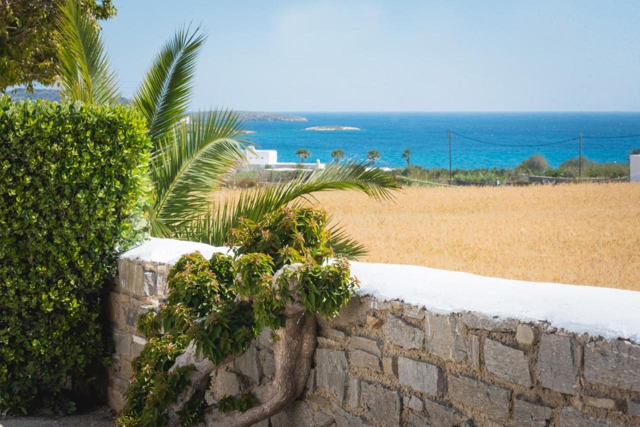 Navi B3 Brand New In Naousa (Paros)